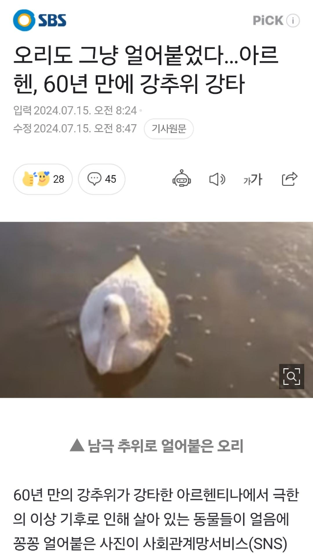 Screenshot_20240715_124556_NAVER.jpg