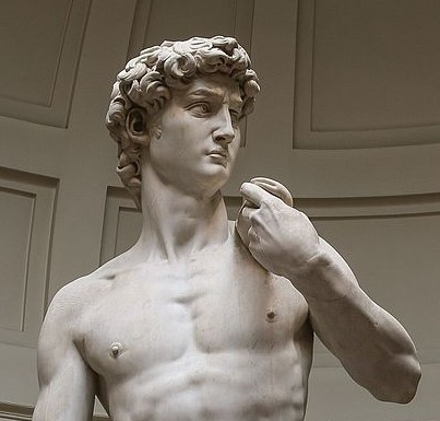 'David'_by_Michelangelo_Fir_JBU004.jpg